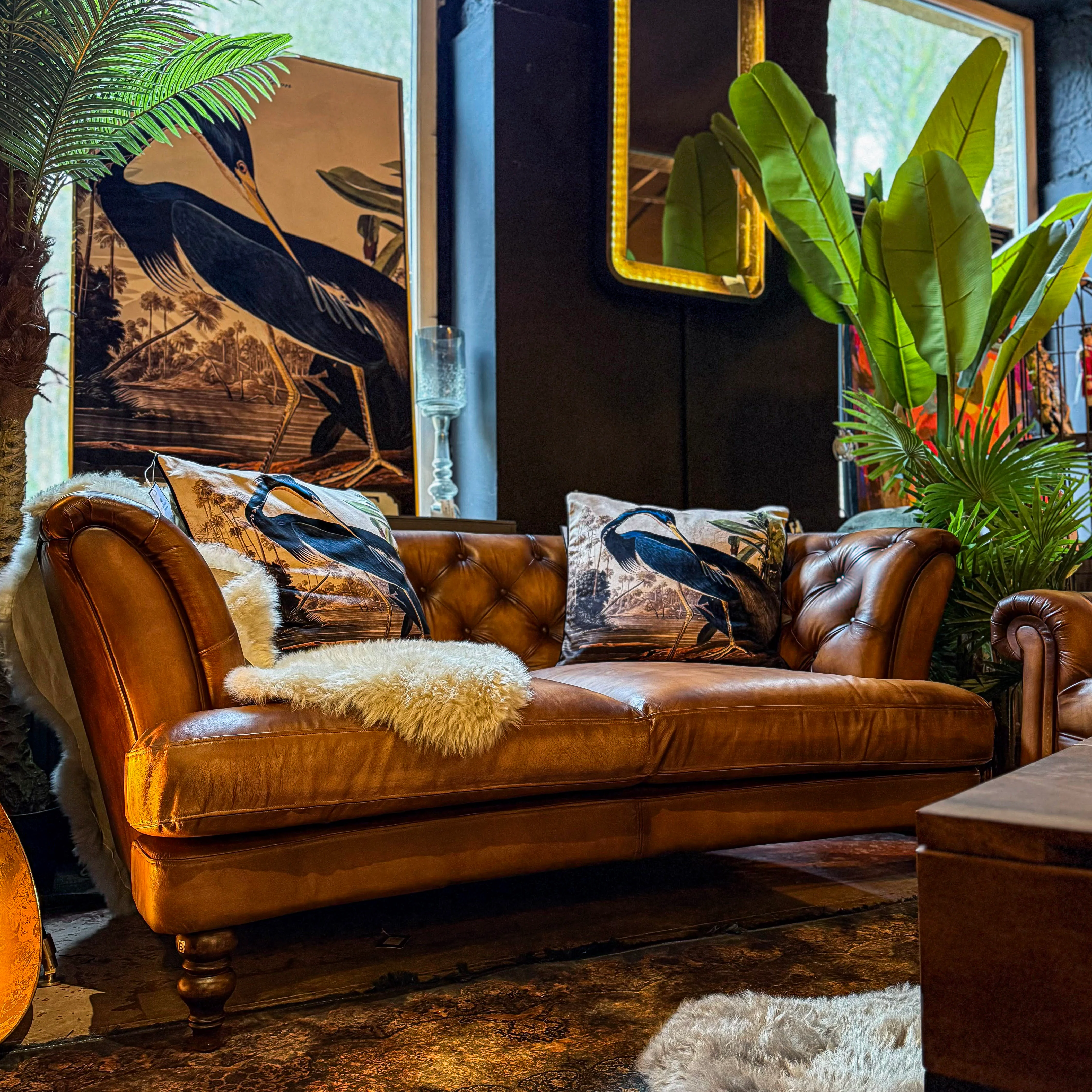 New Sofas